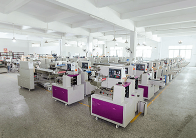 Pillow packing machine factory